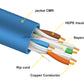 Speedex CAT6 CMR/FT4 (550 Mhz) 1000Ft Network Cable - Blue