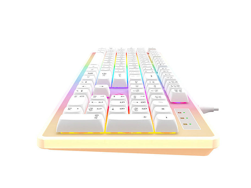 Havit KB876L Wired RGB backlighting Gaming Keyboard_White