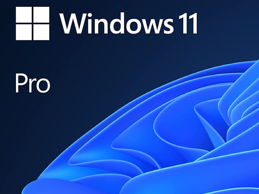 Microsoft Windows 11 PRO 64BIT English 1PK DSP OEI DVD